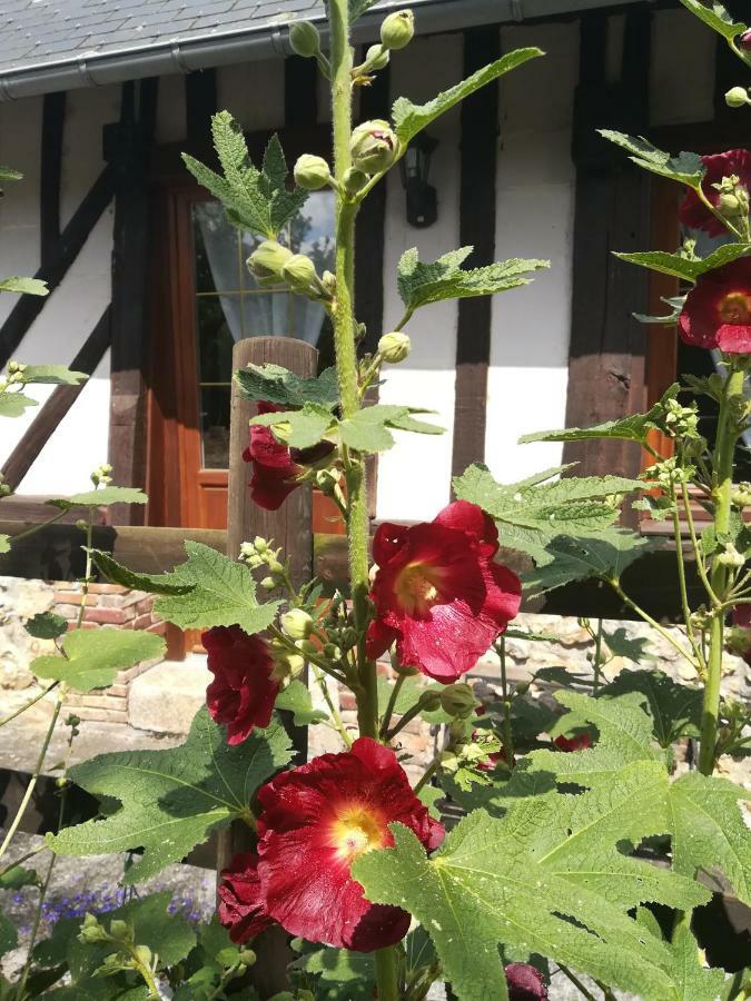 Le Clos Des Hortensias Toutainville Bagian luar foto